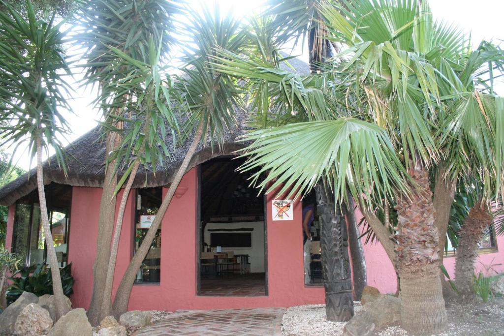 Hotel 100% Fun à Tarifa Extérieur photo